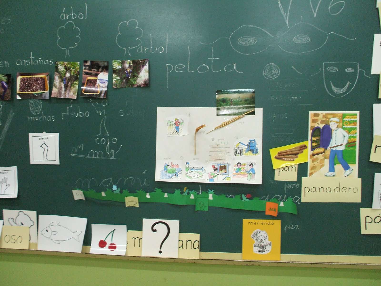 Facilitando el lenguaje con los apoyos visuales